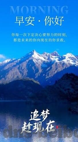 九游娱乐官网赔率高-九游娱乐官网，创新体验与高额赔率的完美融合
